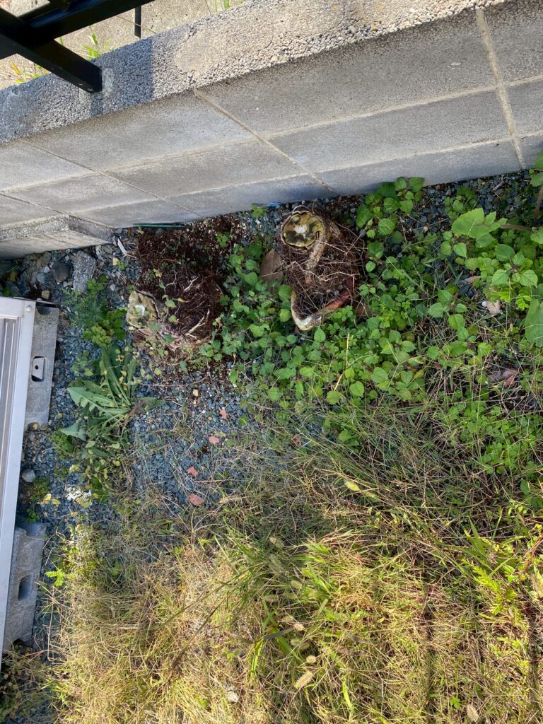 静岡県静岡市で理想のカーポートと外構を実現する景図考房のこだわり